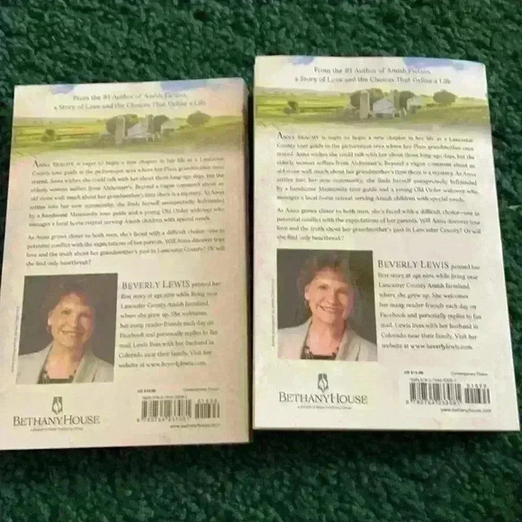 The Stonewall by Beverly Lewis - Picture 2 of 4